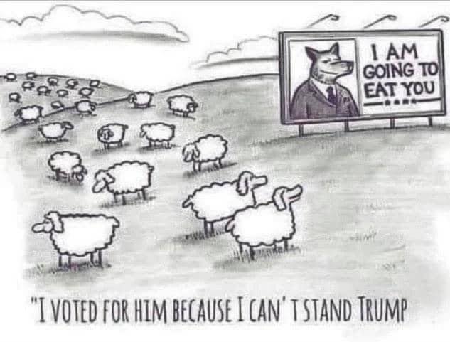 Cartoon Of The Day: Sheep