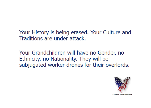 Your History is being erased. Your Culture and Traditions are under attack. Your Grandchildren will have no Gender, no Ethnicity, no Nationality. They will be subjugated worker-drones for their overlords.