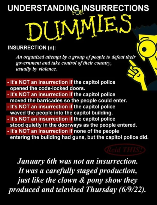Insurrections For Dummies