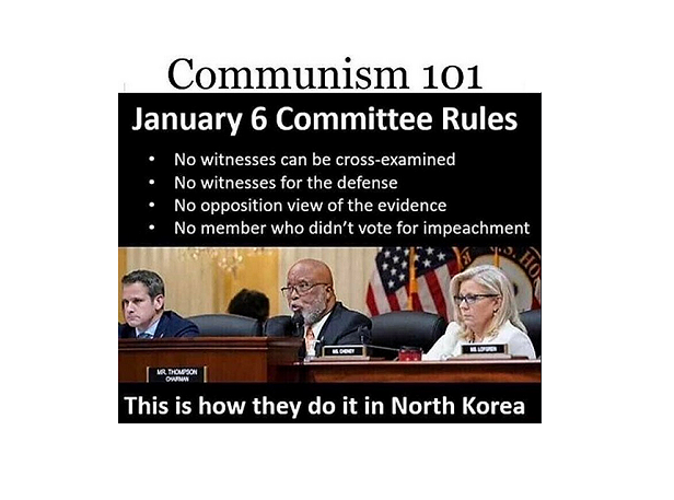 January 6 Committee Rules
