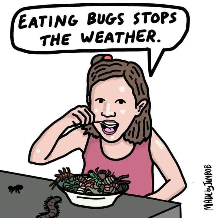 Eating Bugs Stops The Weather