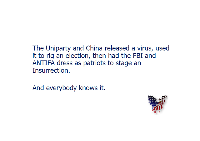 The Uniparty and China released a virus, used it to rig an election, then had the FBI and ANTIFA dress as patriots to stage an Insurrection. And everybody knows it.