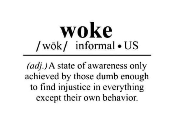 Definition Of Woke - Common Sense Evaluation