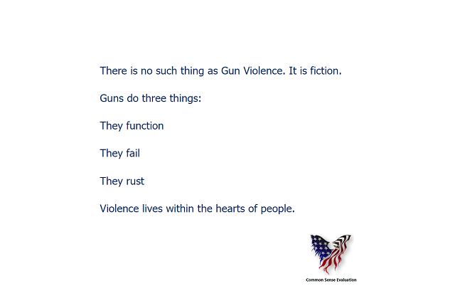 There is no such thing as Gun Violence. It is fiction. Guns do three things: They function, They fail, They rust, Violence lives within the hearts of people.