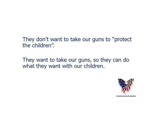 They don't want to take our guns to "protect the children". They want to take our guns, so they can do what they want with our children.
