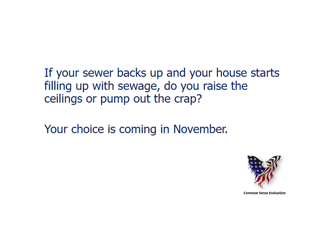 If your sewer backs up and your house starts filling up with sewage, do you raise the ceilings or pump out the crap? Your choice is coming in November.