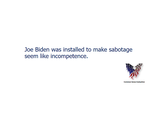 Joe Biden was installed to make sabotage seem like incompetence.