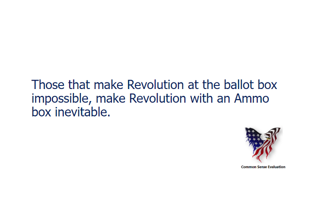 Those that make Revolution at the ballot box impossible, make Revolution with an Ammo box inevitable.