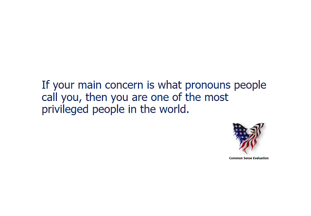 If your main concern is what pronouns people call you, then you are one of the most privileged people in the world.