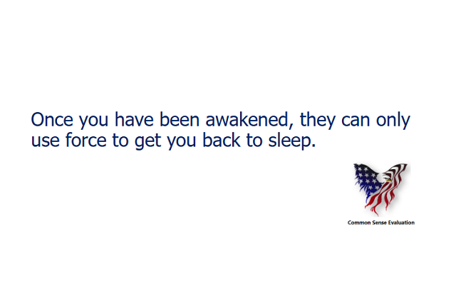 Once You Have Been Awakened - Common Sense Evaluation