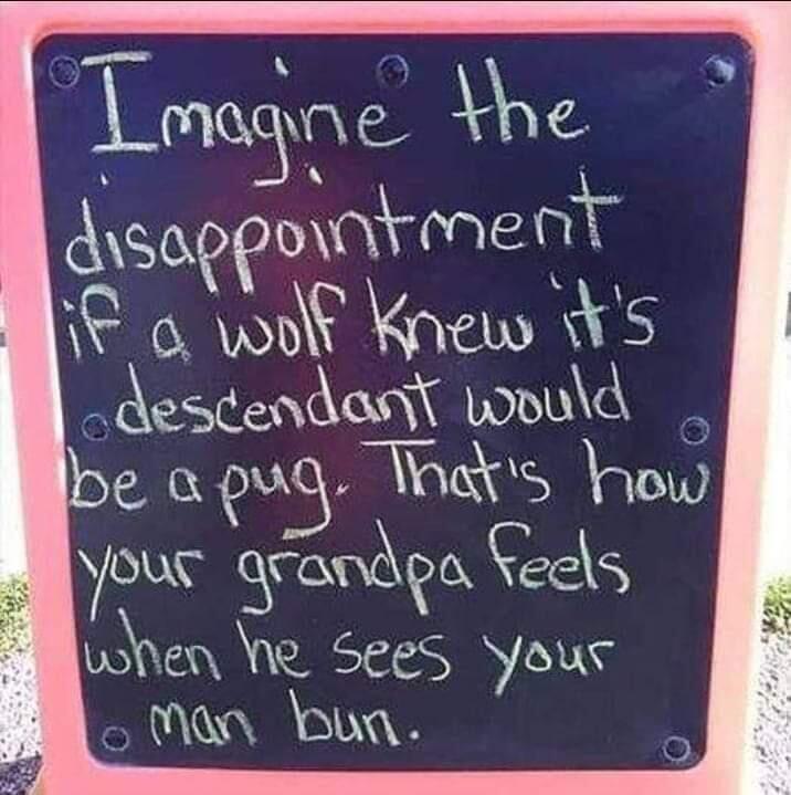 Imagine the disappointment if a wolf knew it's decedent would be a pug. That's how your grandpa feels when he sees your man bub.