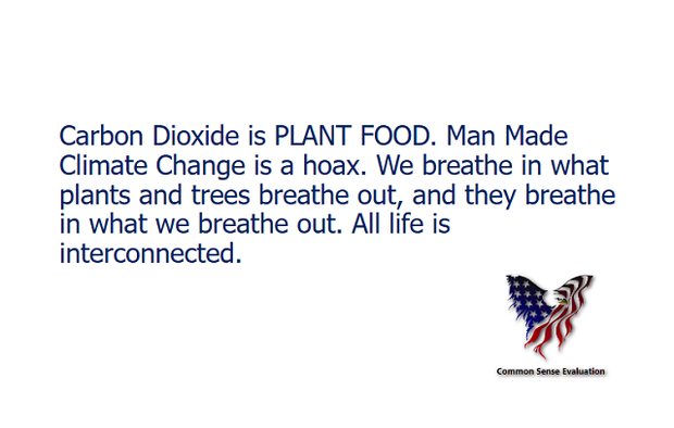 Carbon Dioxide is PLANT FOOD. Man Made Climate Change is a hoax. We breathe in what plants and trees breathe out, and they breathe in what we breathe out. All life is interconnected.