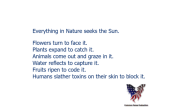 Everything in Nature seeks the Sun. Flowers turn to face it. Plants expand to catch it. Animals come out and graze in it. Water reflects to capture it. Fruits ripen to code it. Humans slather toxins on their skin to block it.