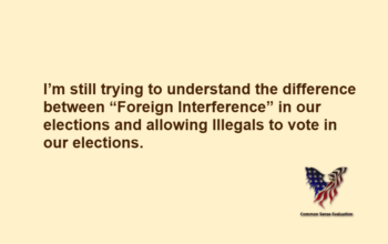 I'm still trying to understand the difference between “Foreign Interference” in our elections and allowing Illegals to vote in our elections.