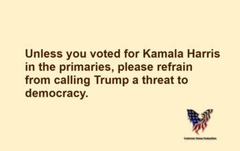 Unless you voted for Kamala Harris in the primaries, please refrain from calling Trump a threat to democracy.