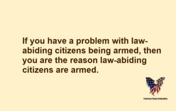 If you have a problem with law-abiding citizens being armed, then you are the reason law-abiding citizens are armed.