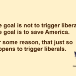 The goal is not to trigger liberals. The goal is to save America. For some reason, that just so happens to trigger liberals.