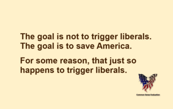 The goal is not to trigger liberals. The goal is to save America. For some reason, that just so happens to trigger liberals.