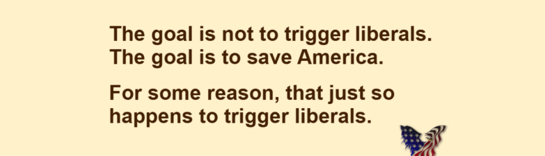 The goal is not to trigger liberals. The goal is to save America. For some reason, that just so happens to trigger liberals.