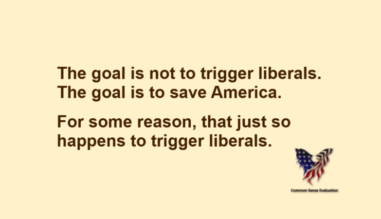 The goal is not to trigger liberals. The goal is to save America. For some reason, that just so happens to trigger liberals.