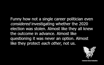 Investigating the 2020 Election — Funny how not a single career politician even considered investigating whether the 2020 election was stolen. Almost like they all knew the outcome in advance. Almost like questioning it was never an option. Almost like they protect each other, not us.