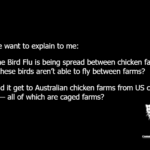 Anyone want to explain to me: How the Bird Flu is being spread between chicken farms when these birds aren’t able to fly between farms? How did it get to Australian chicken farms from US chicken farms — all of which are caged farms?