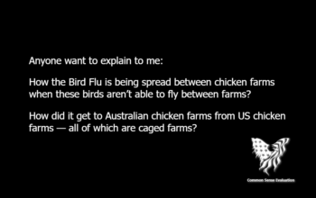 Anyone want to explain to me: How the Bird Flu is being spread between chicken farms when these birds aren’t able to fly between farms? How did it get to Australian chicken farms from US chicken farms — all of which are caged farms?