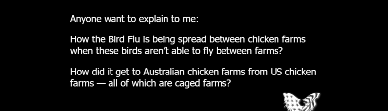 Anyone want to explain to me: How the Bird Flu is being spread between chicken farms when these birds aren’t able to fly between farms? How did it get to Australian chicken farms from US chicken farms — all of which are caged farms?