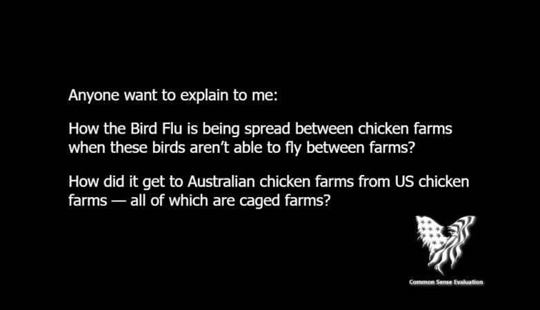 Anyone want to explain to me: How the Bird Flu is being spread between chicken farms when these birds aren’t able to fly between farms? How did it get to Australian chicken farms from US chicken farms — all of which are caged farms?