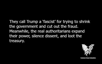 They call Trump a 'fascist' for trying to shrink the government and cut out the fraud. Meanwhile, the real authoritarians expand their power, silence dissent, and loot the treasury.