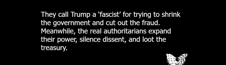 They call Trump a 'fascist' for trying to shrink the government and cut out the fraud. Meanwhile, the real authoritarians expand their power, silence dissent, and loot the treasury.