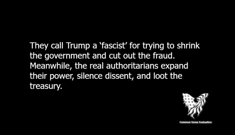 They call Trump a 'fascist' for trying to shrink the government and cut out the fraud. Meanwhile, the real authoritarians expand their power, silence dissent, and loot the treasury.