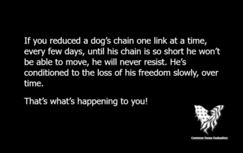 If you reduced a dog's chain one link at a time, every few days, until his chain is so short he won't be able to move, he will never resist. He's conditioned to the loss of his freedom slowly, over time. That's what's happening to you!
