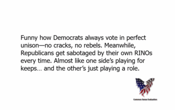 Funny how Democrats always vote in perfect unison—no cracks, no rebels. Meanwhile, Republicans get sabotaged by their own RINOs every time. Almost like one side’s playing for keeps… and the other’s just playing a role.