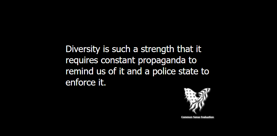 Diversity - Common Sense Evaluation
