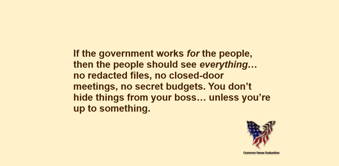 The Government Works for the People - Common Sense Evaluation