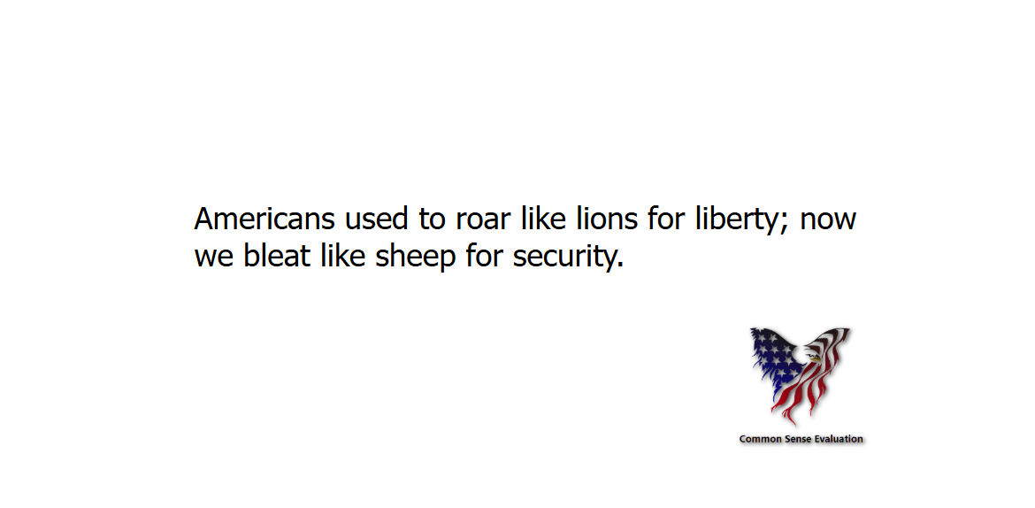 Liberty or Security - Common Sense Evaluation