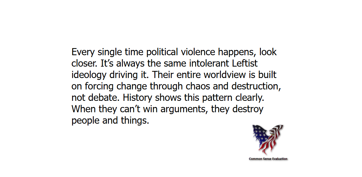 Political Violence - Common Sense Evaluation