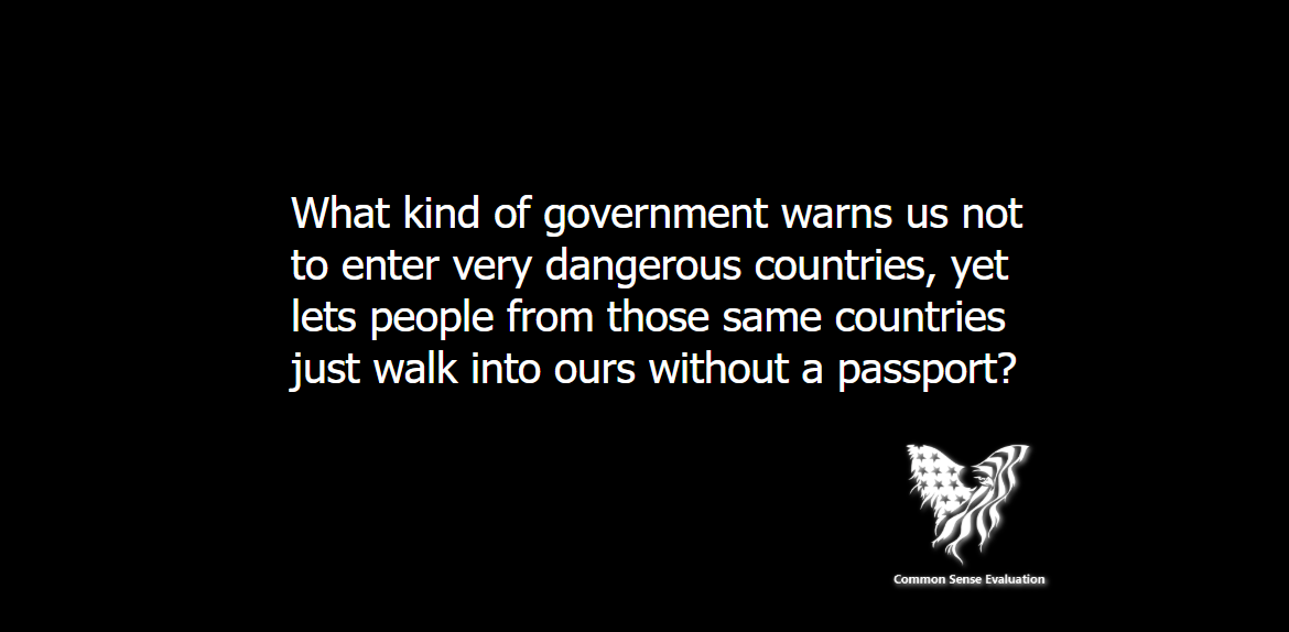 What Kind of Government - Common Sense Evaluation
